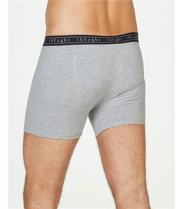 Organic Cotton Boxers