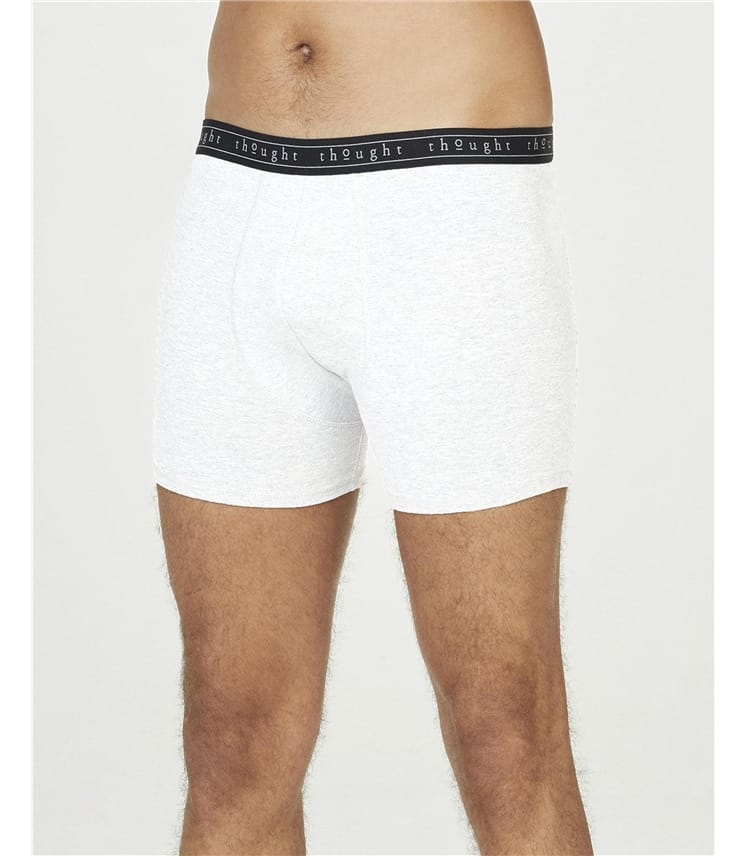 Barnie Organic Cotton Long Boxers