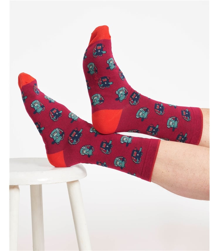 The Explorer Bamboo Gift Box of 4 Socks