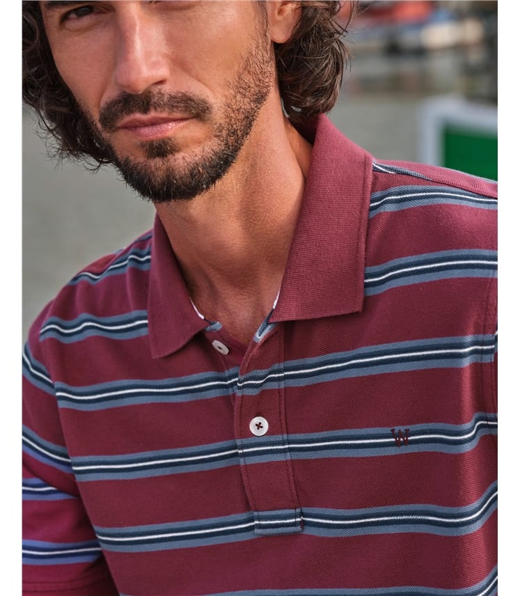 Cotton Interest Polo Shirt