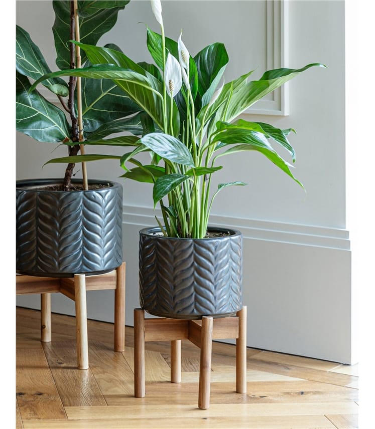 Aspen Chevron Planter Medium