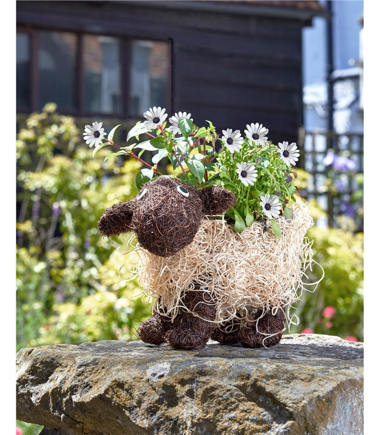 Funimal Planter