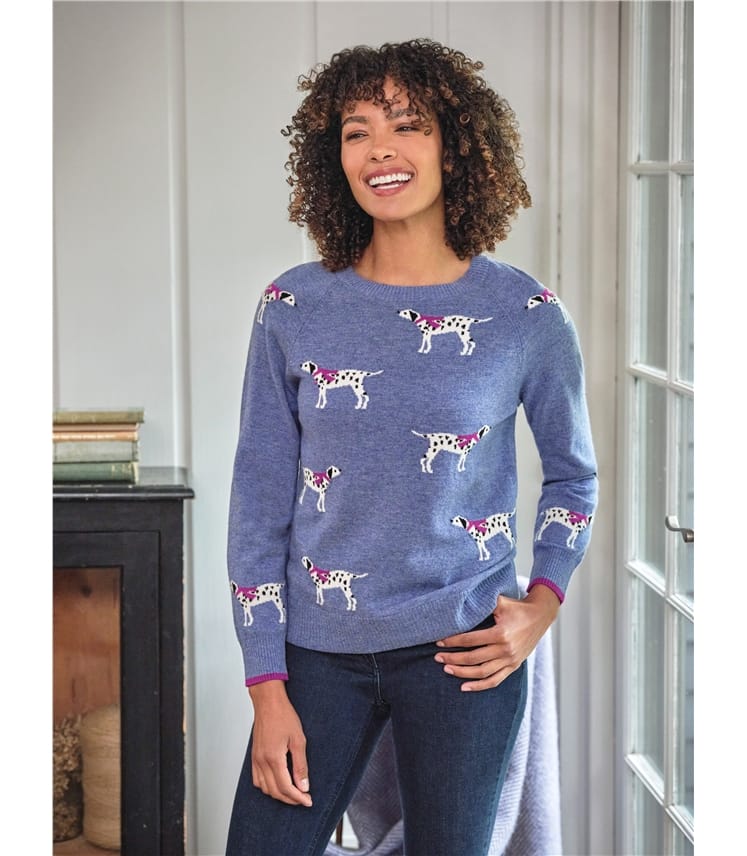 Dalmatian Jumper