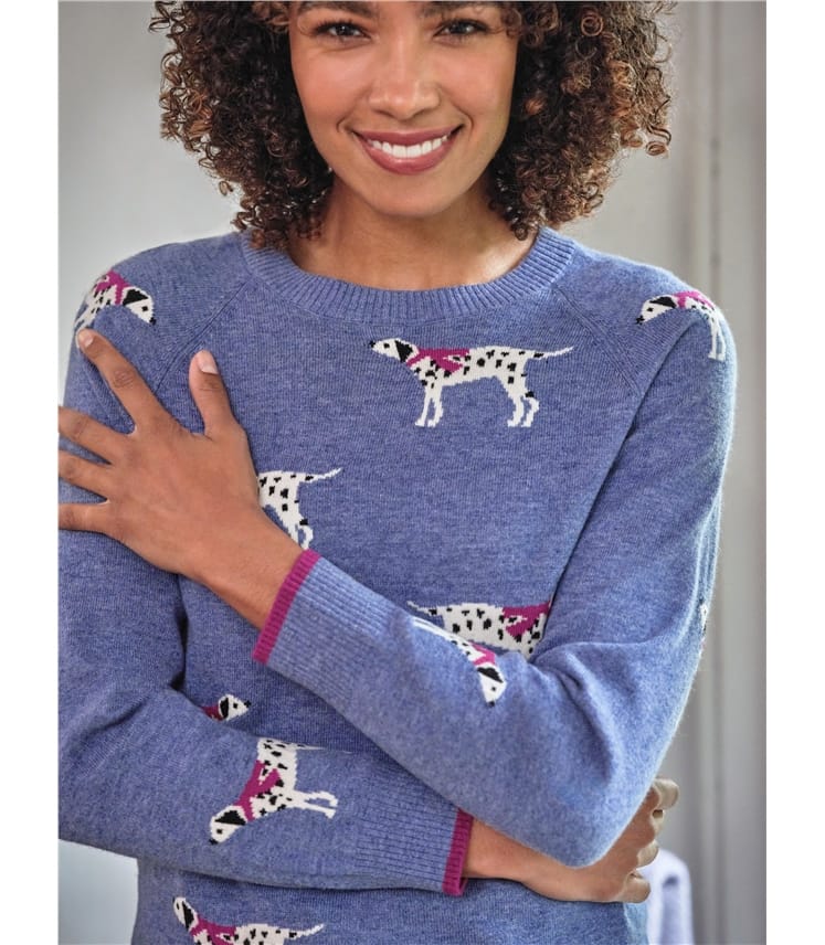 Dalmatian Jumper