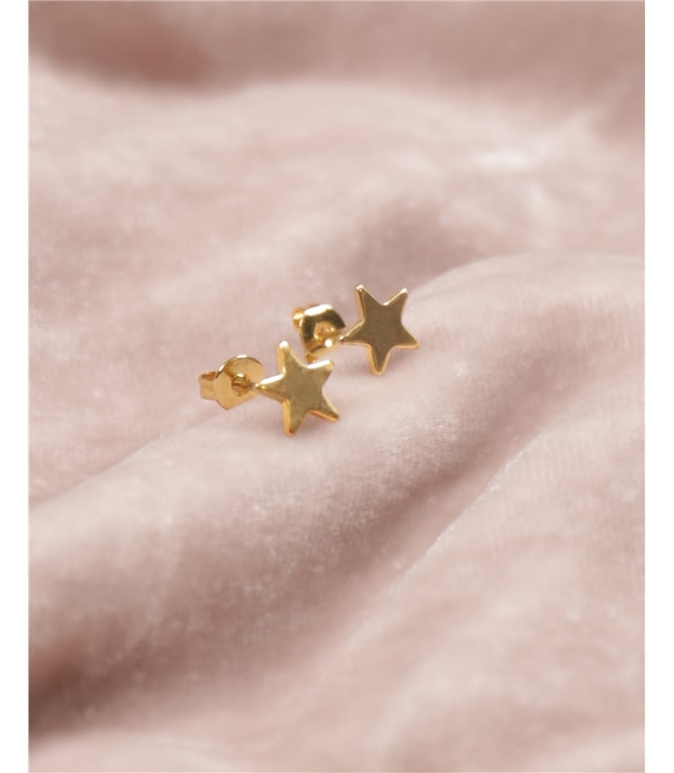 Plated Stud Earring