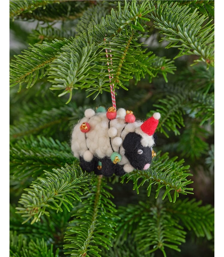 Shirley The Sheep With Christmas Light Decoration