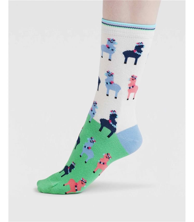 Lot de 3 chaussettes en coton bio Clea Animal pour femmes