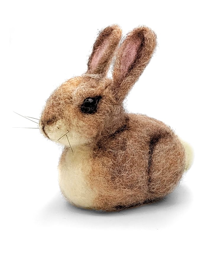 Needle Felting Craft Kit