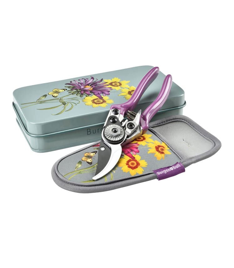 RHS Pruner And Holster Set - Asteraceae