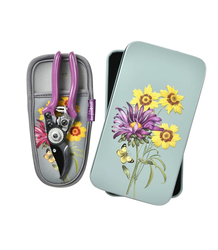 RHS Pruner And Holster Set - Asteraceae