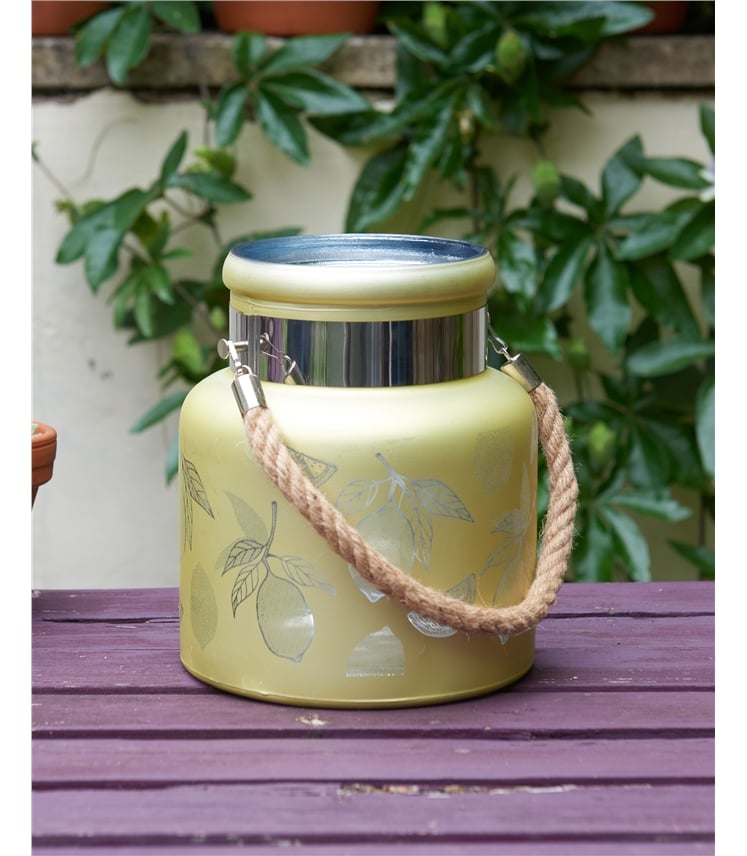 Illustrated Glass Lantern