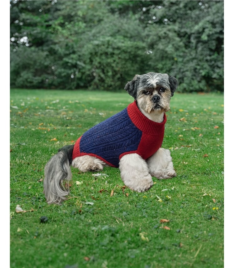 Lambswool Fairisle Knit Dog Jumper