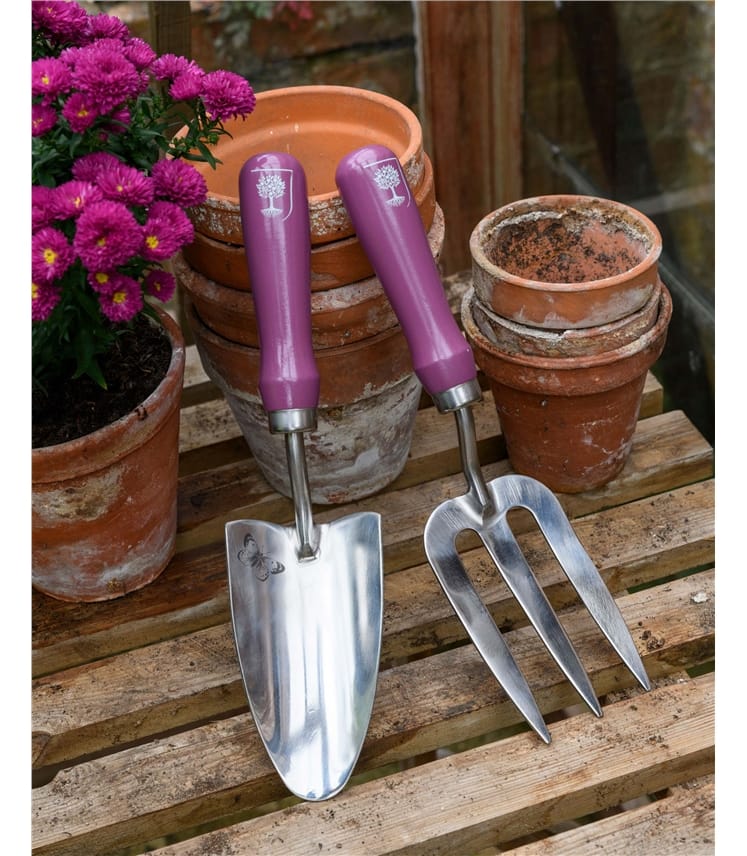 RHS Trowel And Fork - Asteraceae