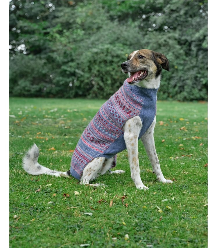 Blue Rose Fairisle Pure Lambswool Lambswool Fairisle Knit Dog Jumper