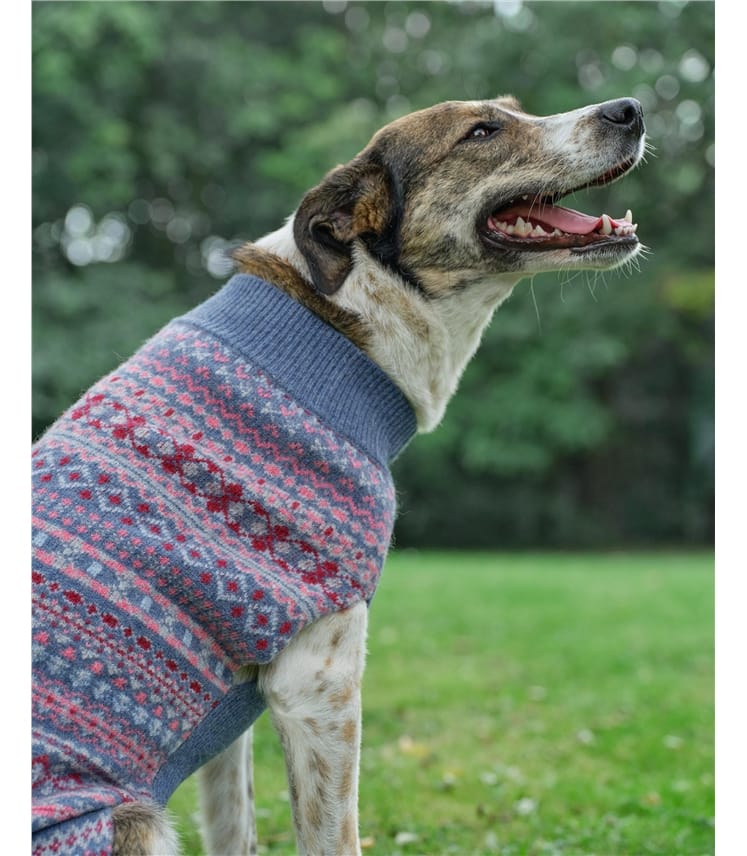 Pull Jacquard pour chien - Pure Laine d'agneau