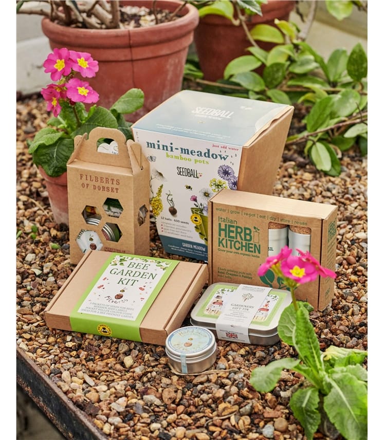 Filberts Bee Garden Kit
