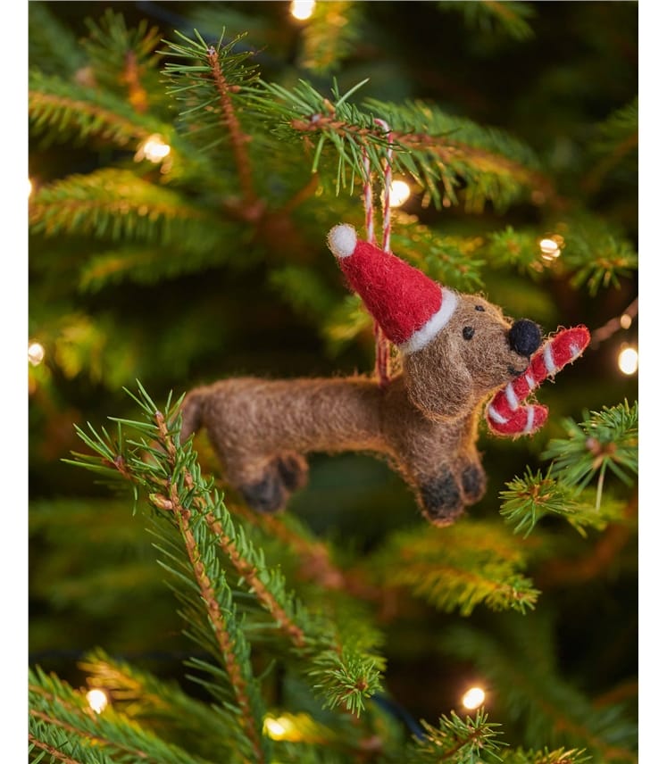Dotty the Sausage Dog with Candy Cane Christmas Decoration