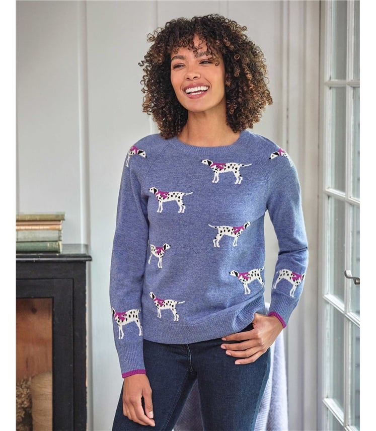 Dalmatian Jumper
