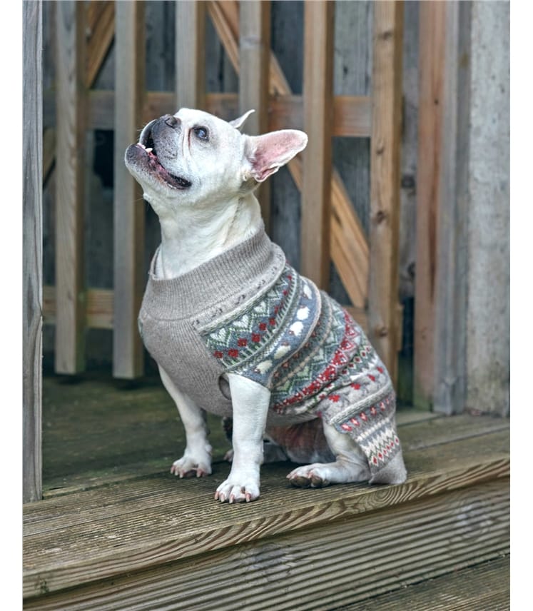 Pull Jacquard pour chien - Pure Laine d'agneau