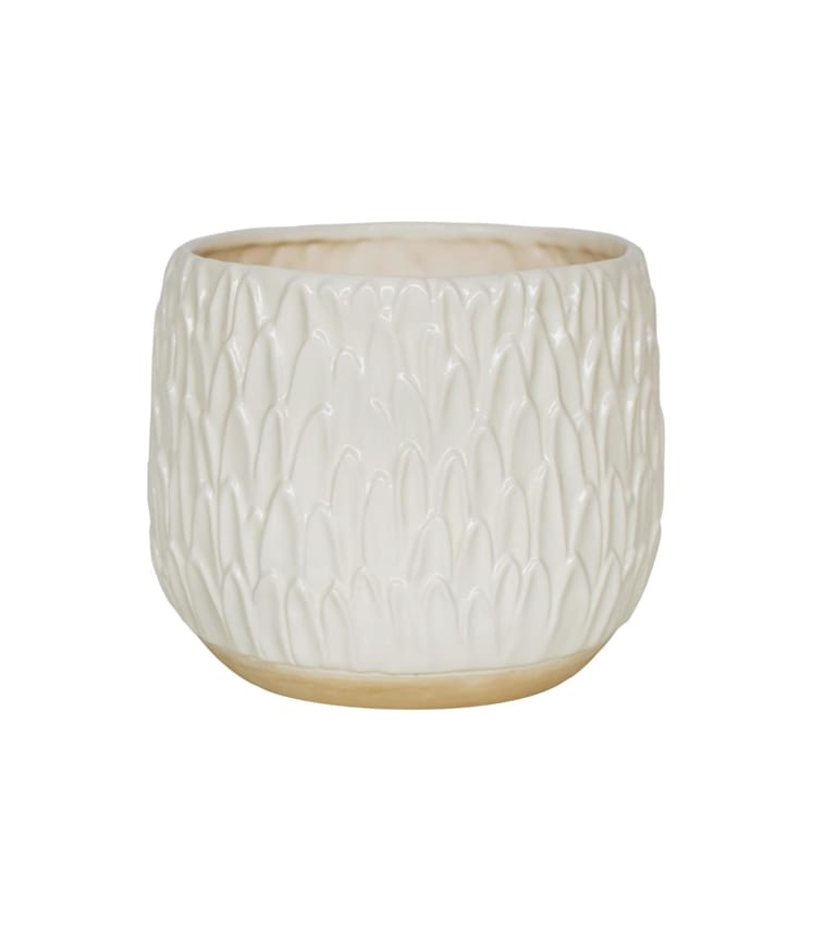Medium Leaf Embossed Planter