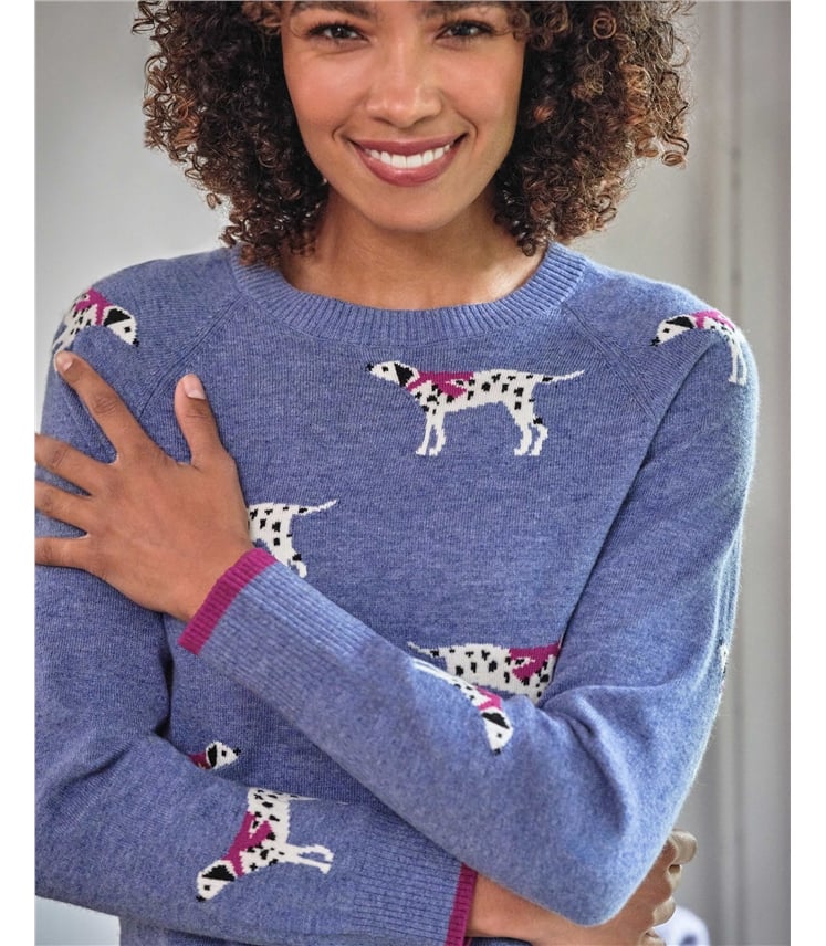 Pull dalmatien col rond