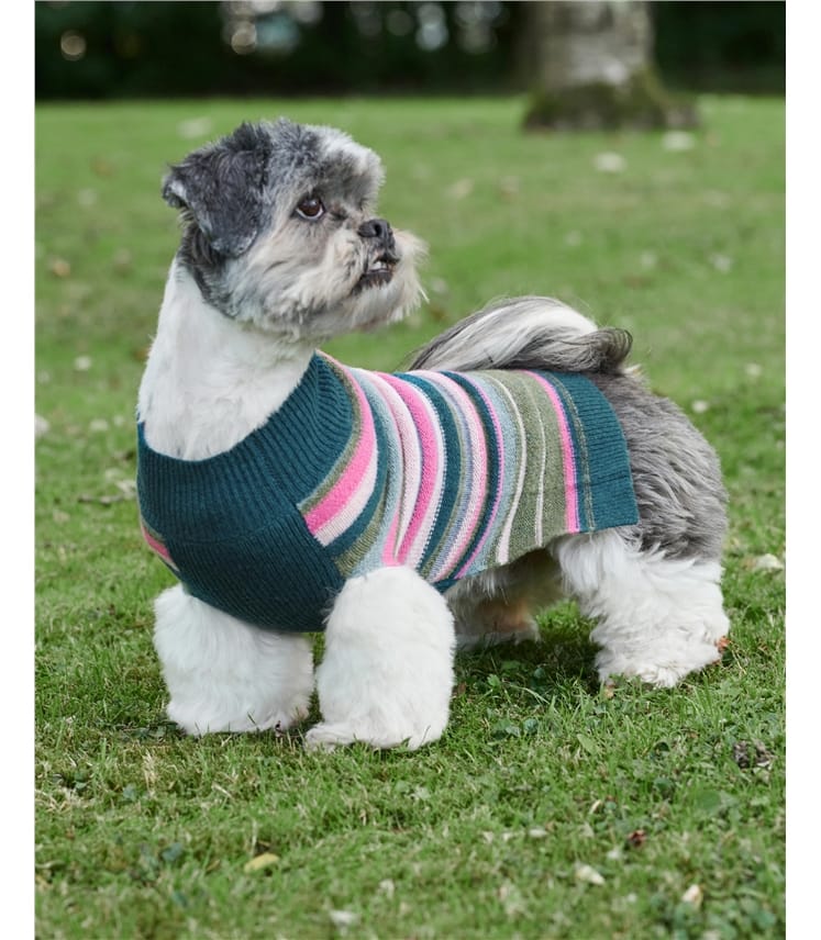 Lambswool Fairisle Knit Dog Jumper