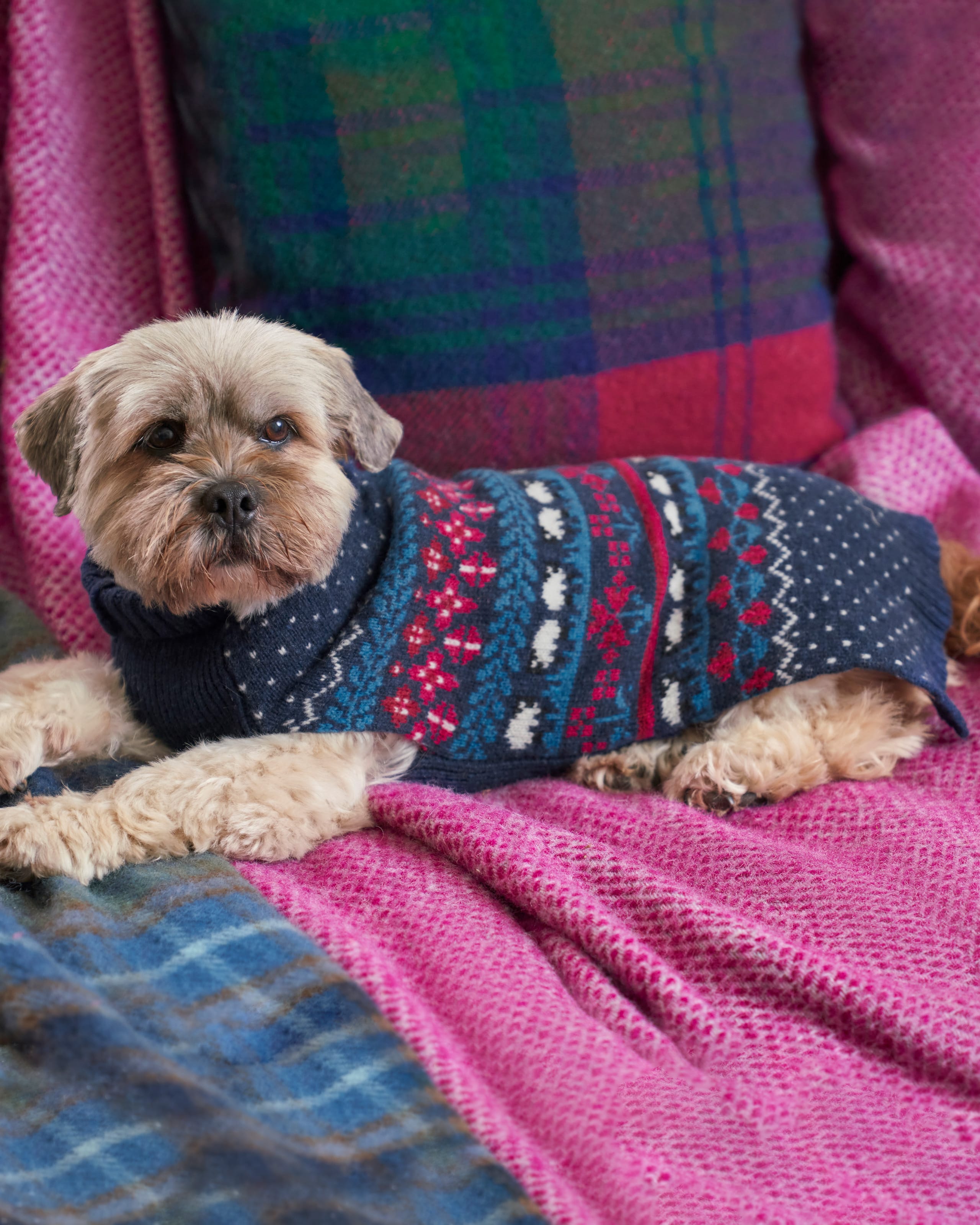 Navy Multi Lambswool Fairisle Knit Dog Sweater WoolOvers US