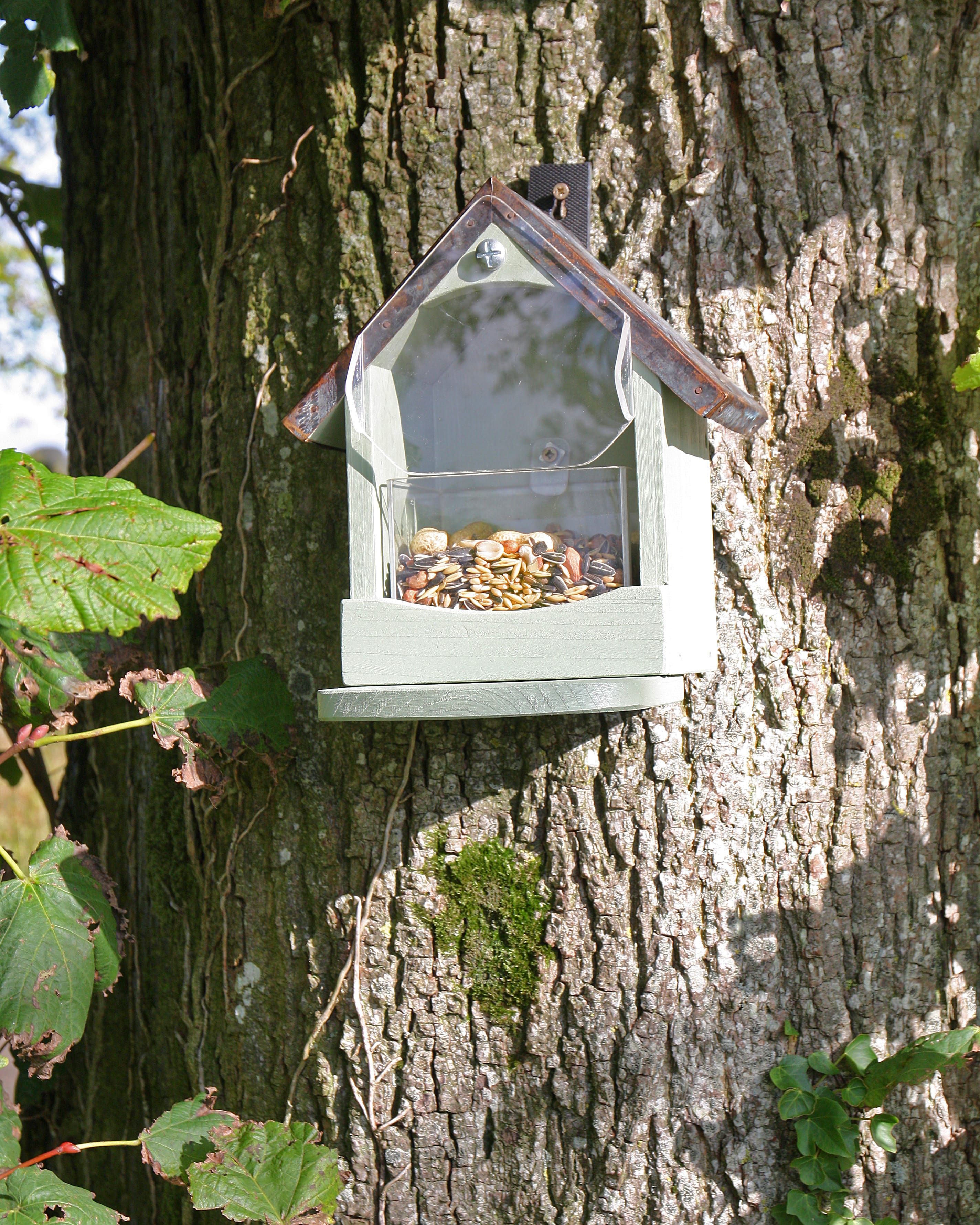 Home | Garden Wildlife