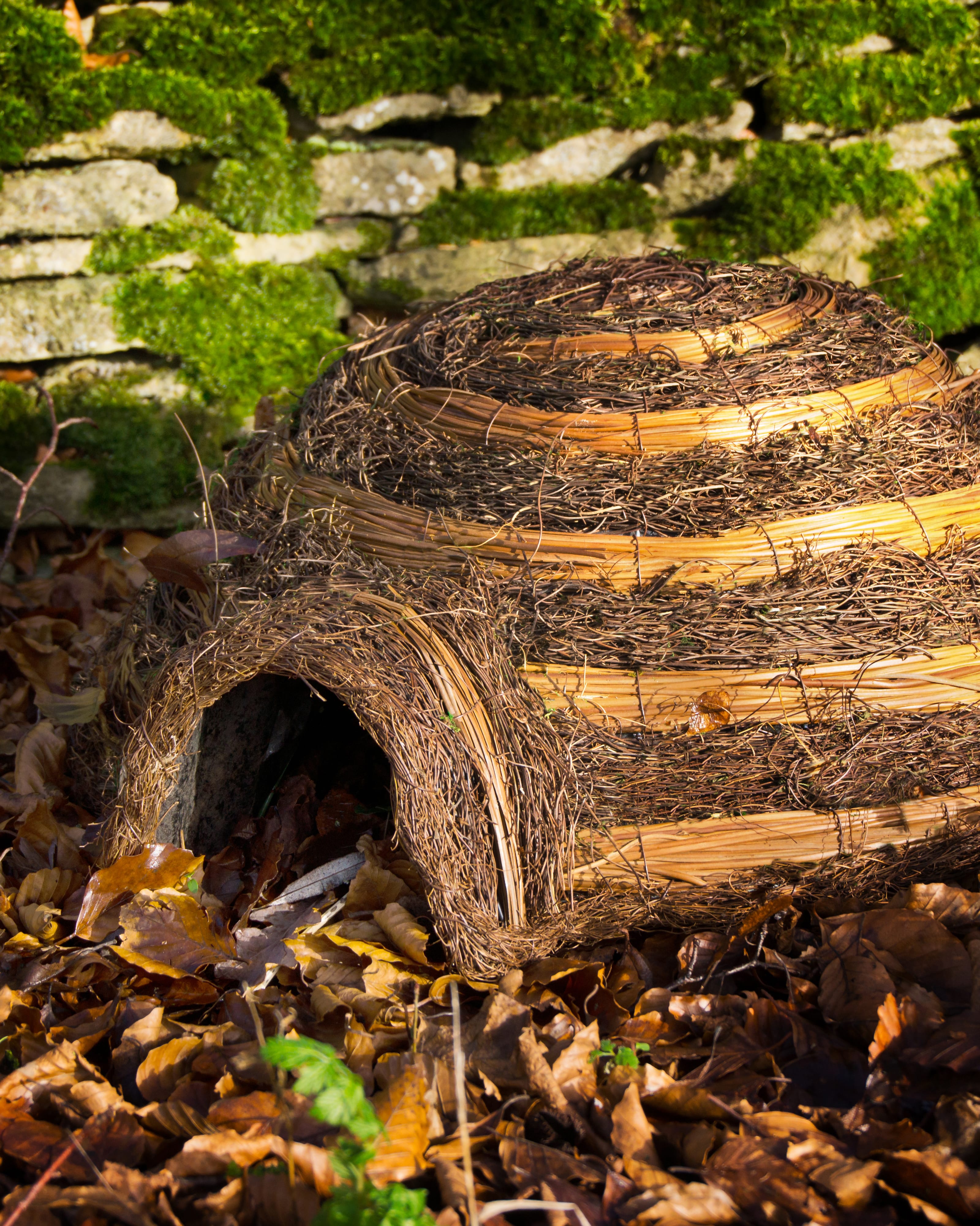 Brown Igloo Hedgehog Home WoolOvers UK