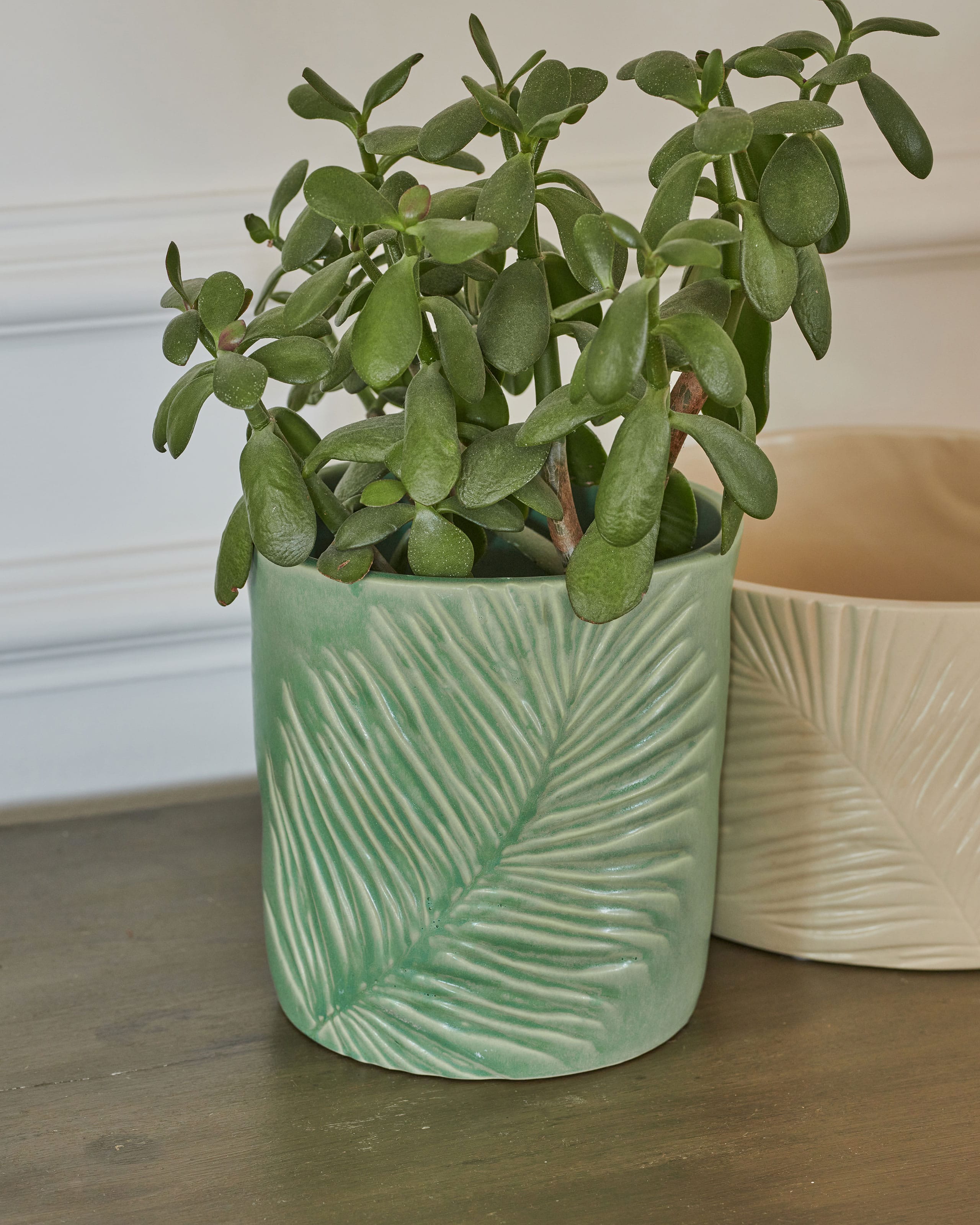 Ivyline 14cm Olive Clovelly Pot main image 0
