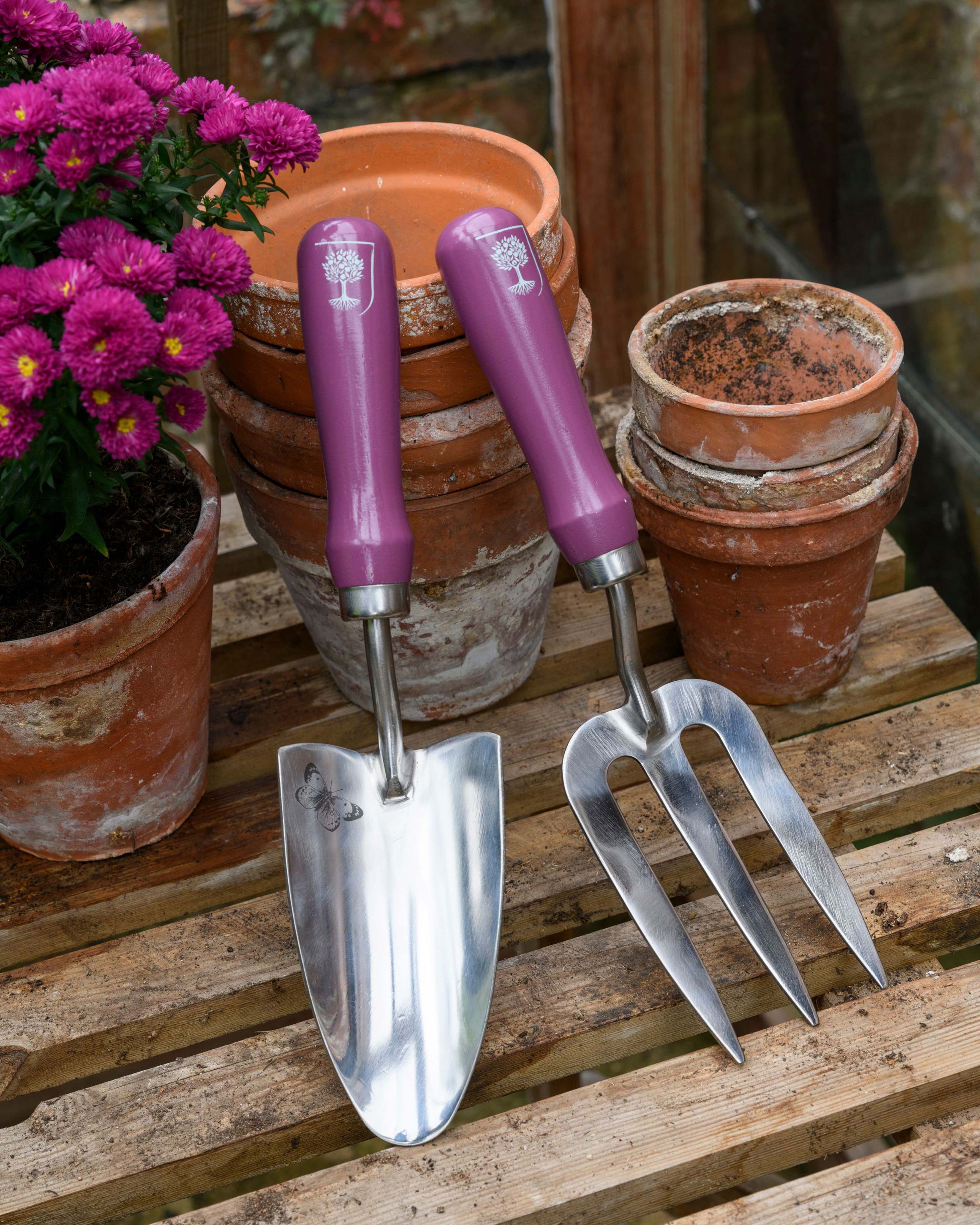 Purple | RHS Trowel And Fork - Asteraceae | WoolOvers UK