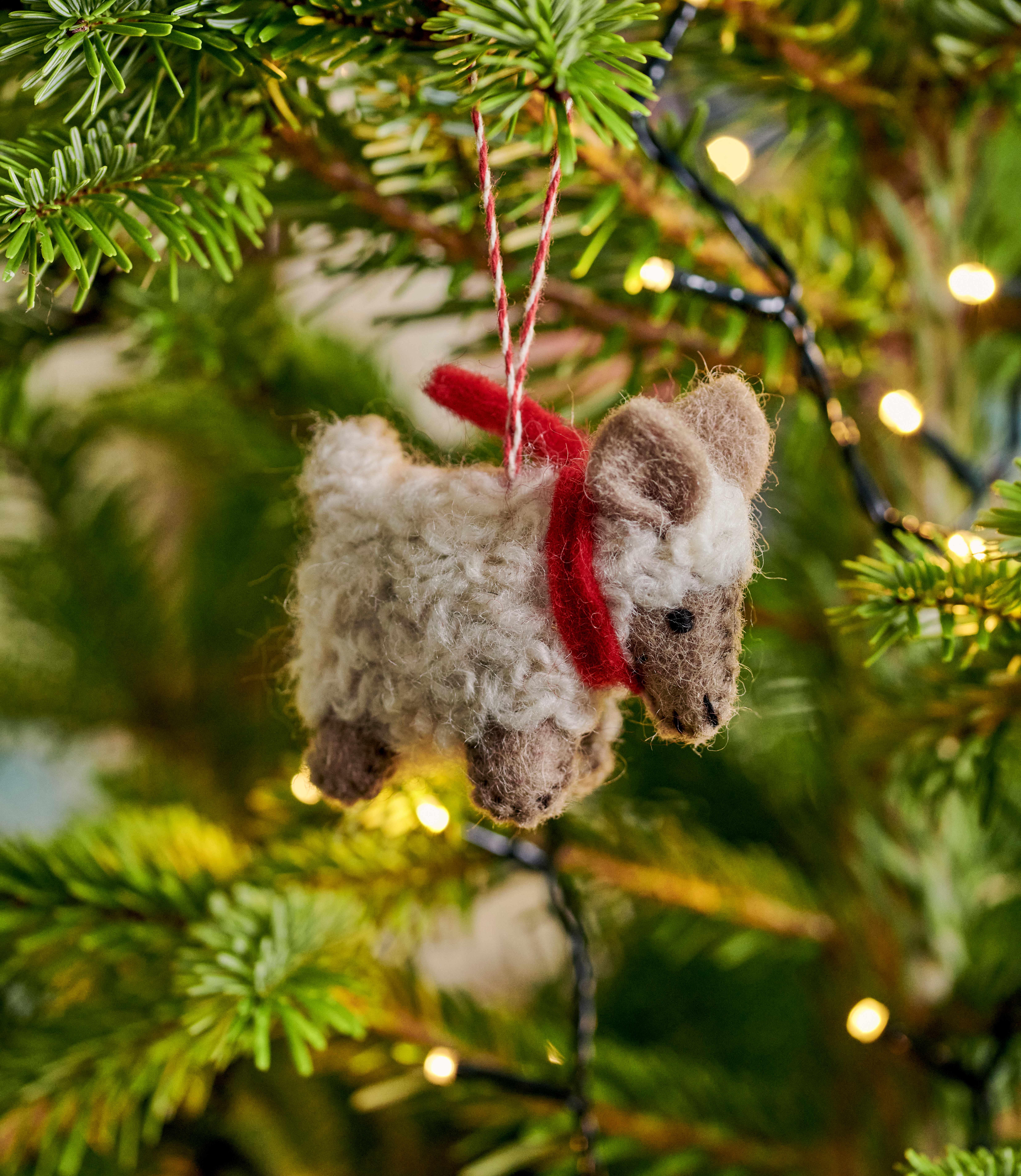 Ivory | Woolly Sheep Christmas Decoration | WoolOvers US