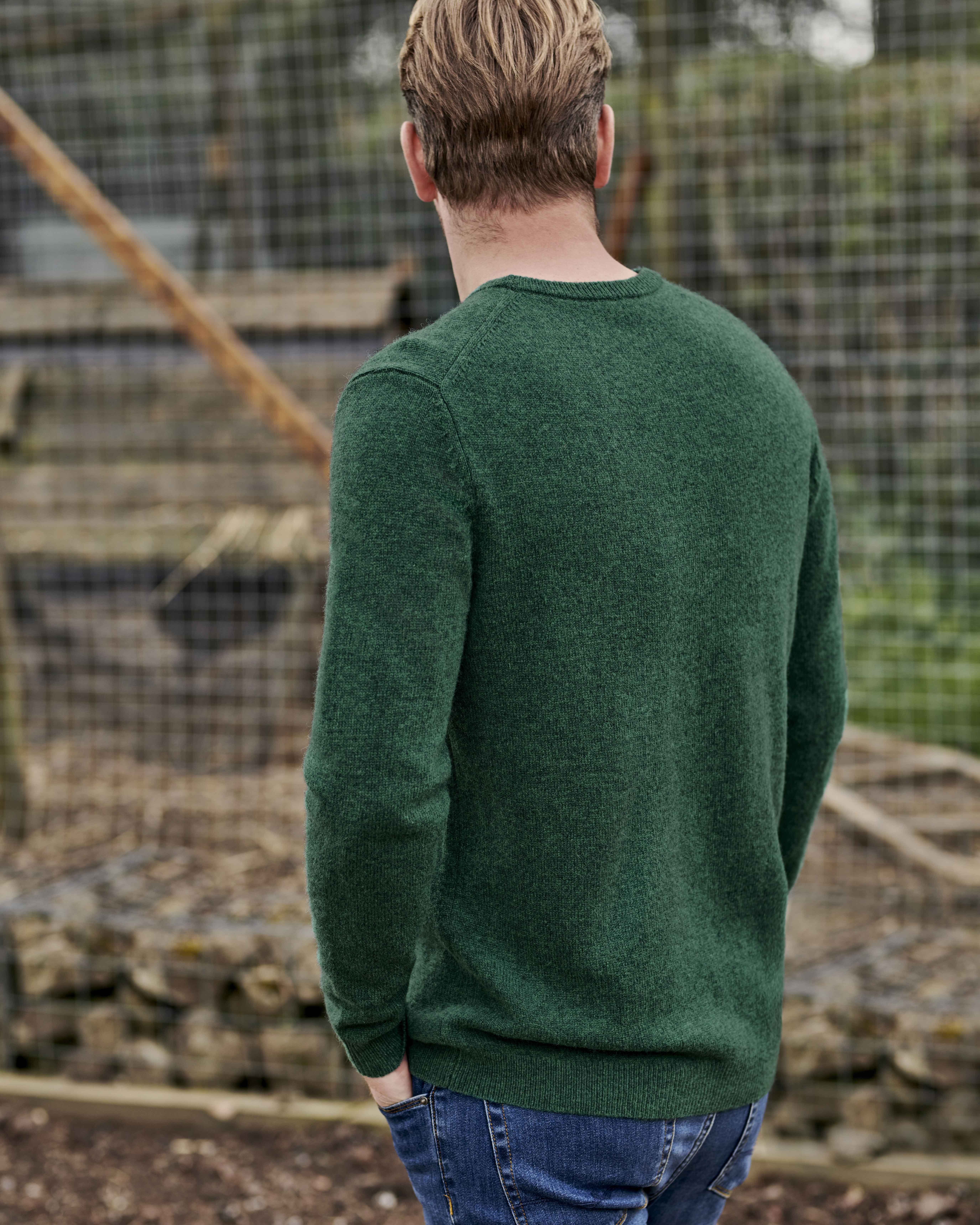 Garden Green Lambswool Classic Crew WoolOvers UK