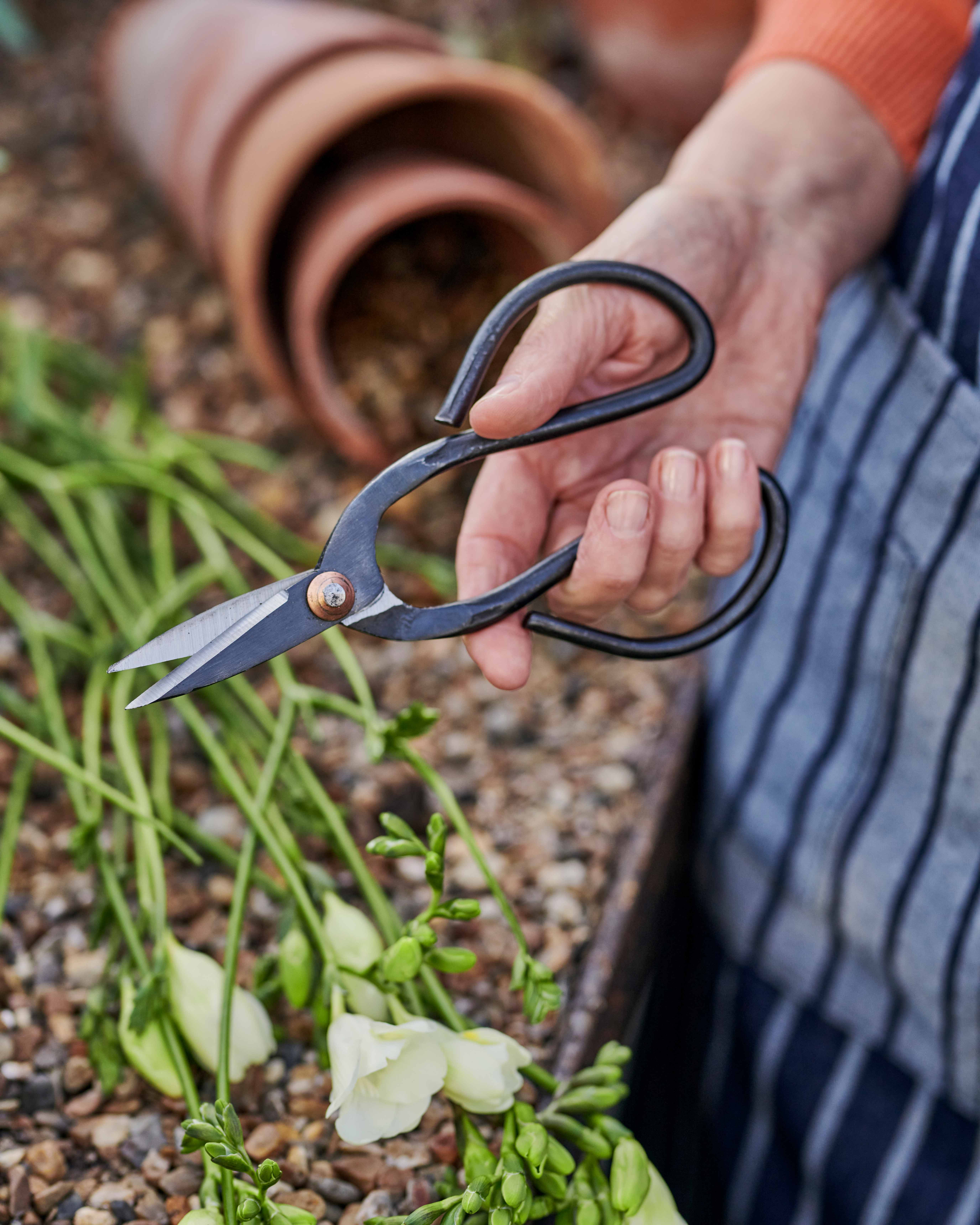 Copper/Natural Pruning Shears WoolOvers UK