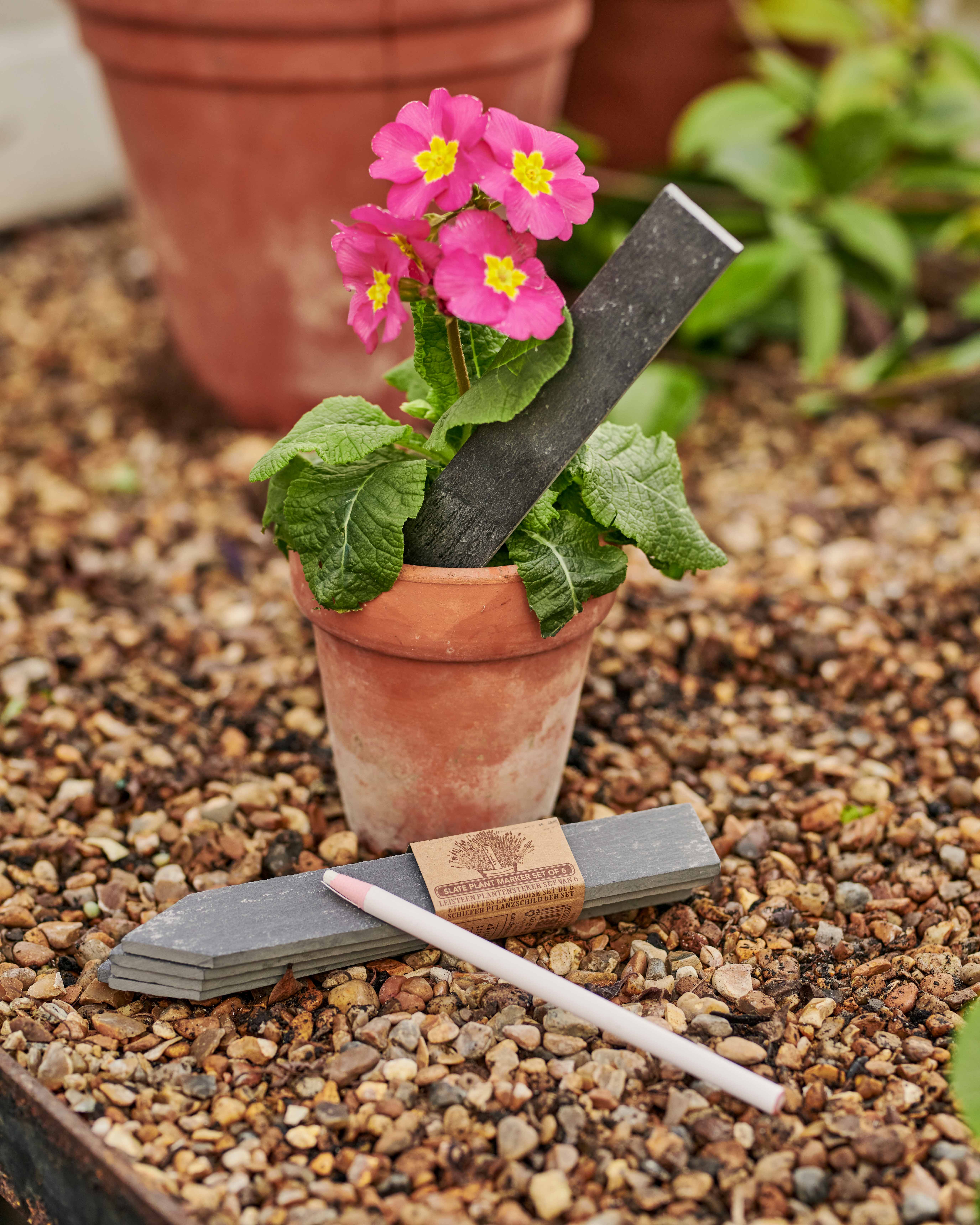 Slate Set of 6 Slate Plant Markers WoolOvers UK