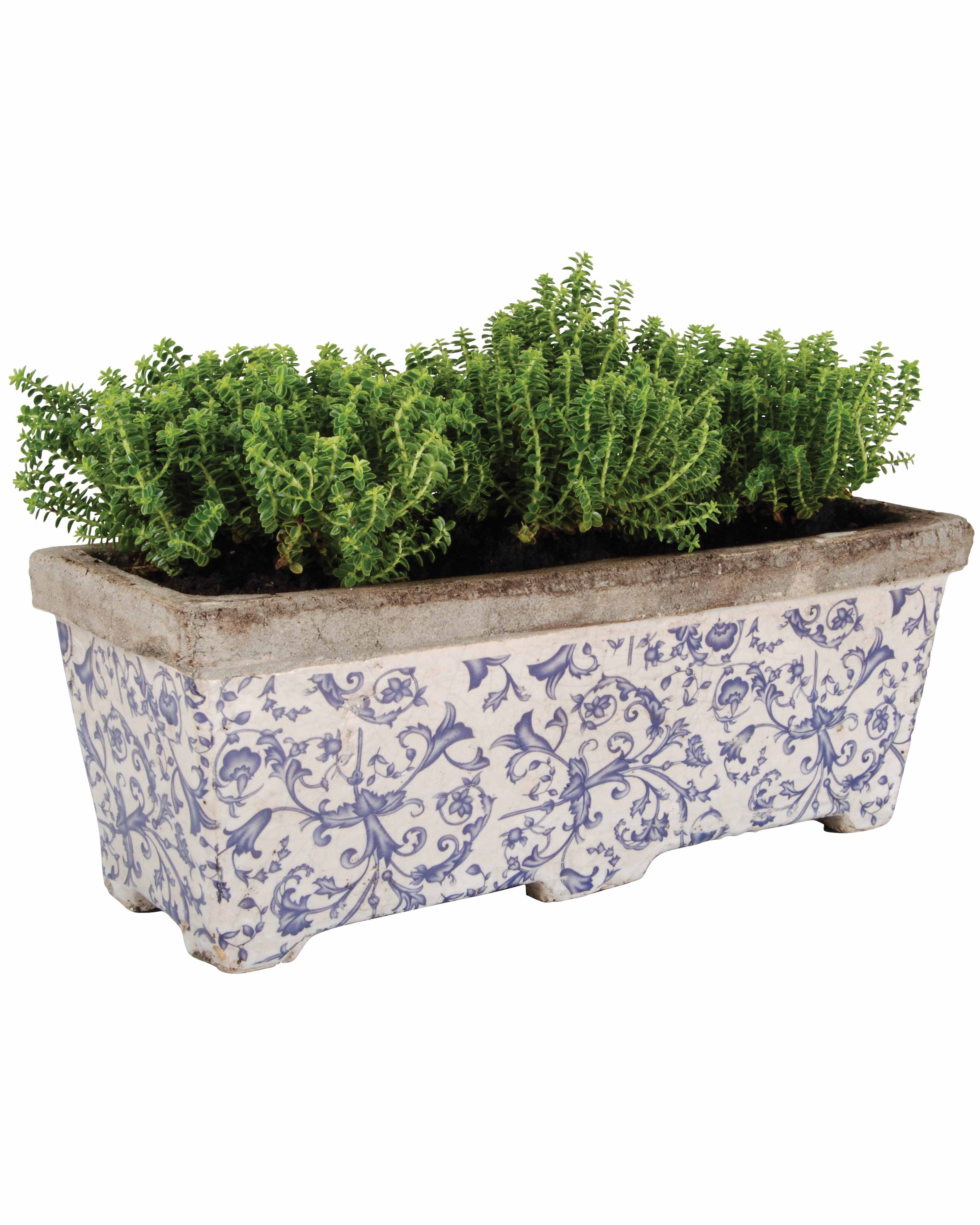 Blue/White Aged Ceramic Rectangular Planter WoolOvers UK