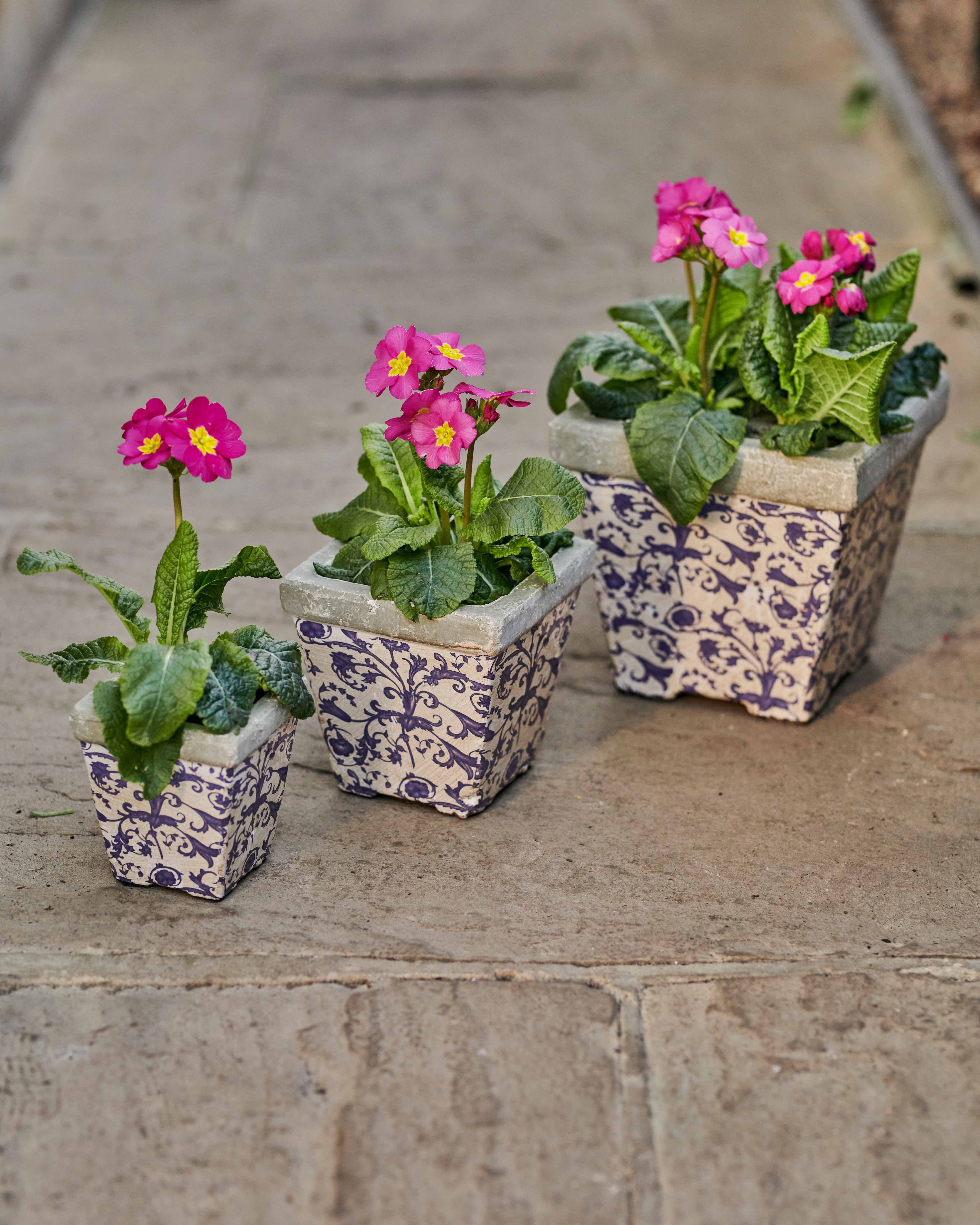 Blue/White Aged Ceramic Plant Pot Set of 3 WoolOvers UK