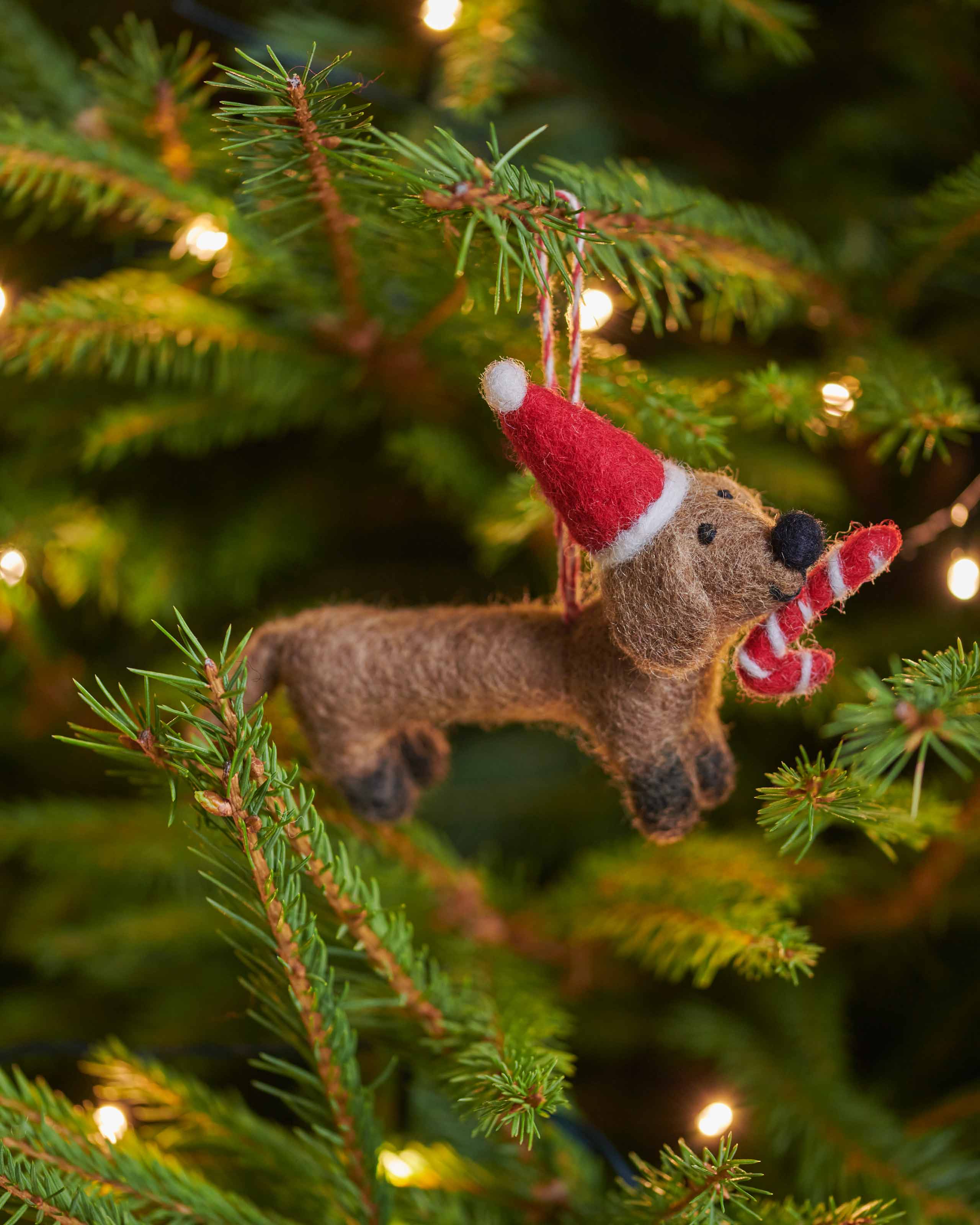 Brown Dotty the Sausage Dog with Candy Cane Christmas Decoration