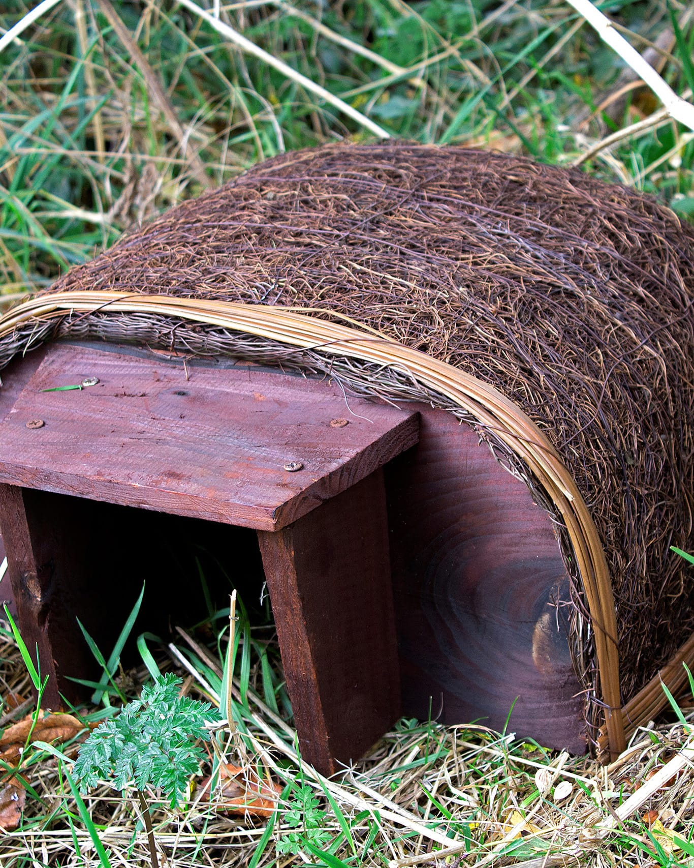 Home | Garden Wildlife