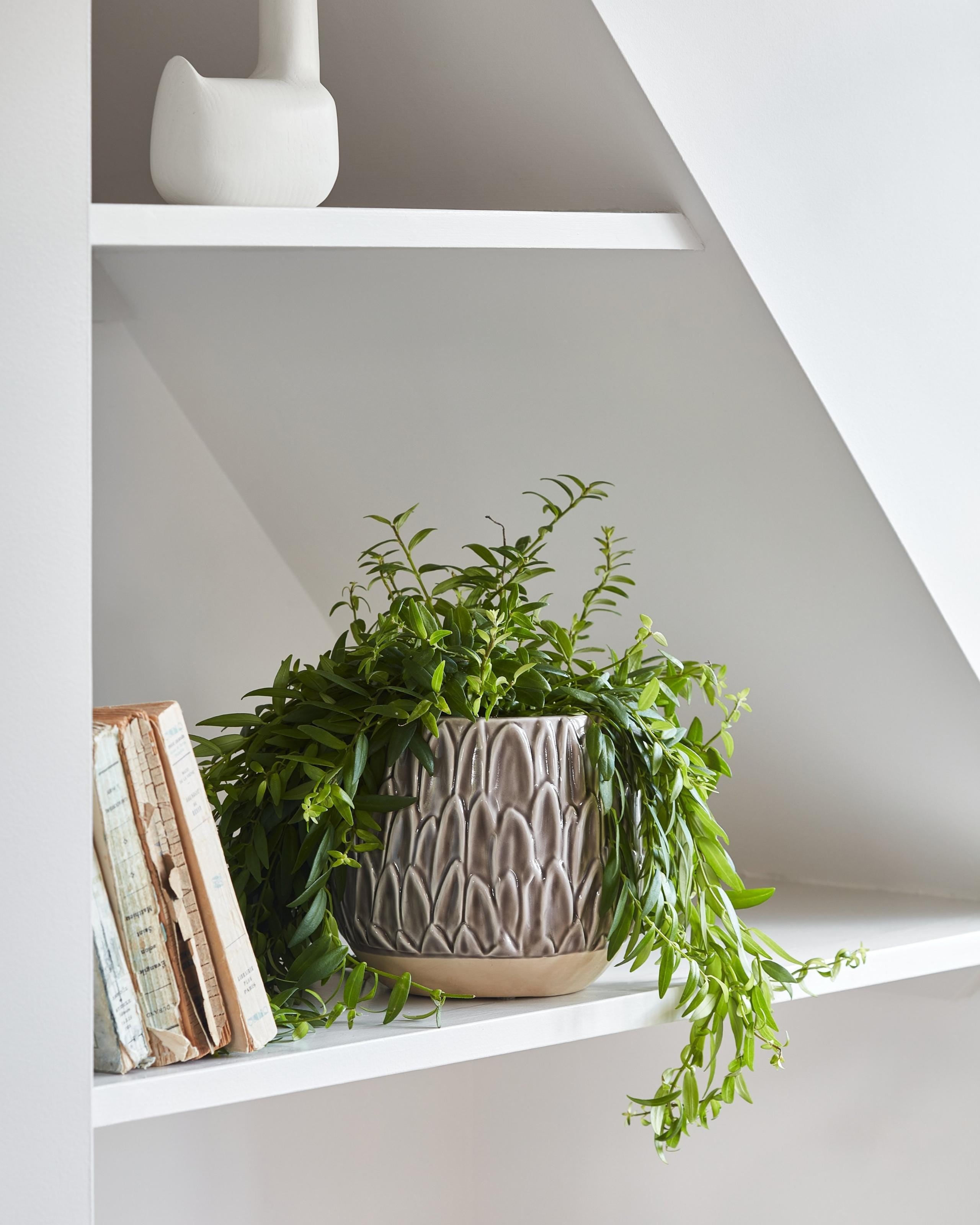 Ivyline 37cm Mocha Brampton Planter main image 0