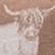 Brown Highland Cow