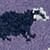 Mid Purple Badger