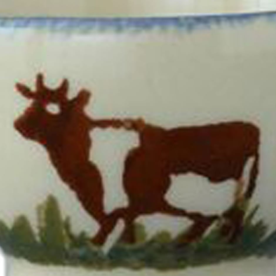 Cows