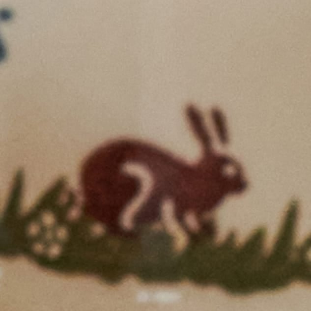 Rabbit