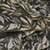 Floral Illustration Print