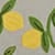 Citrus