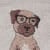 Border Terrier
