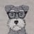 Schnauzer