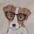 Jack Russell