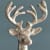 Stag